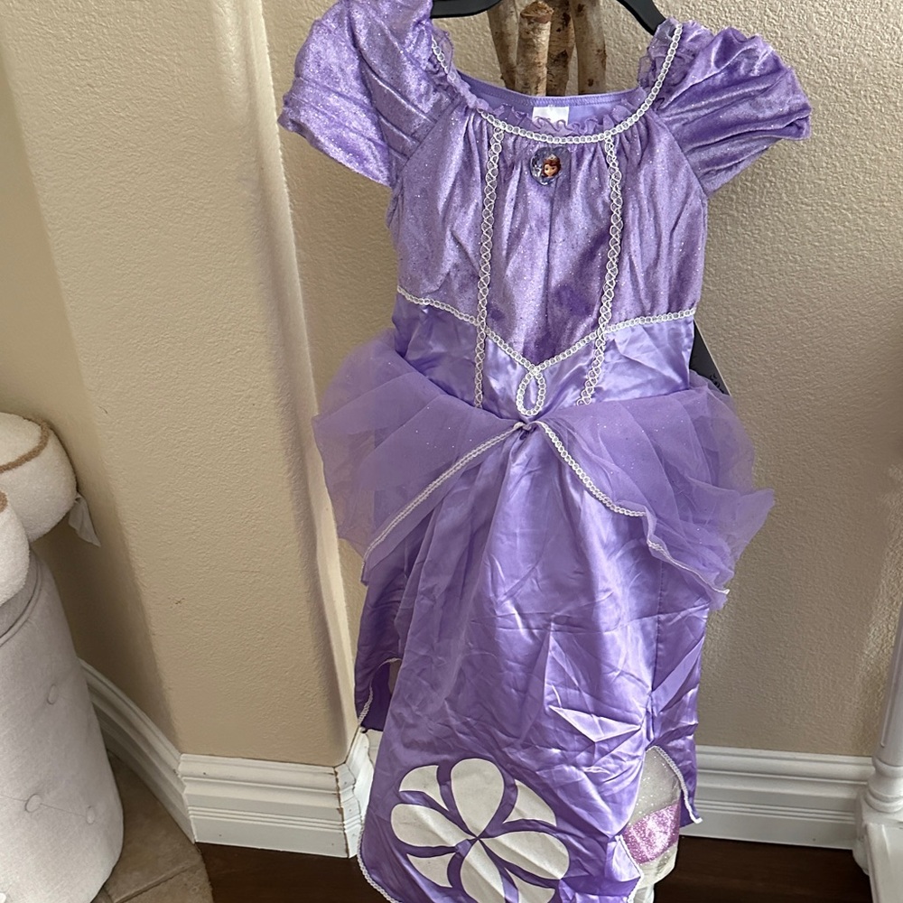 Disney Purple Princess Dress for Kids